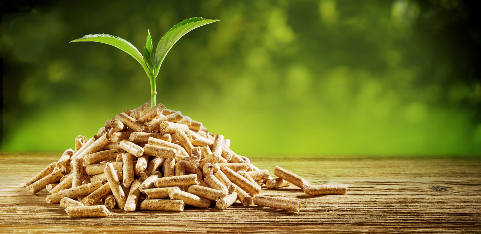 The Environmental Impact of Wood Pellet Electricity Enviva Biomass