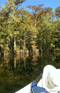 The Crowder and White tract in Southampton, Va., helps form “The Narrows,” an important transit point for river herring, shad and alewife.