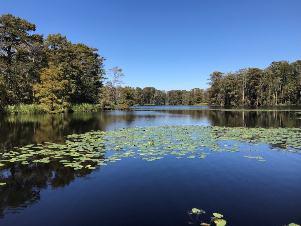 North Carolina Coastal Land Trust and Enviva Forest Conservation Fund