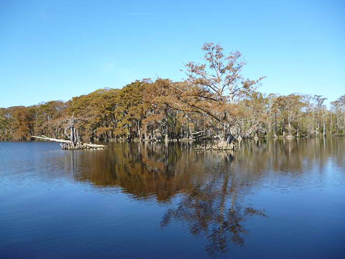 NC Land Trust_web_708